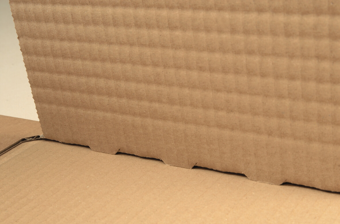 PPB05_01frei-Bild4folUHaa74L8gt